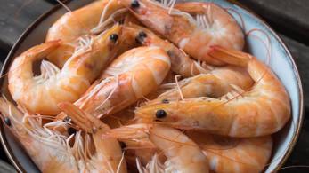 Toast skagen - Per Morberg