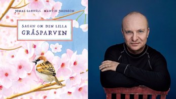 Jonas Gardell's första barnbok - Sagan om den lilla gråsparven
